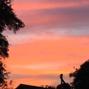 Meet your Posher, Aniya